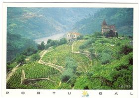 Duoro wine region in Portugal – Best Places In The World To Retire – International Living